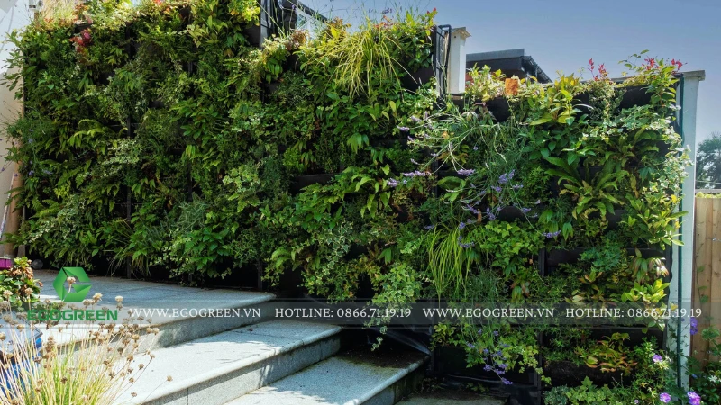 Vườn đứng – giải pháp cảnh quan xanh cho không gian hẹp